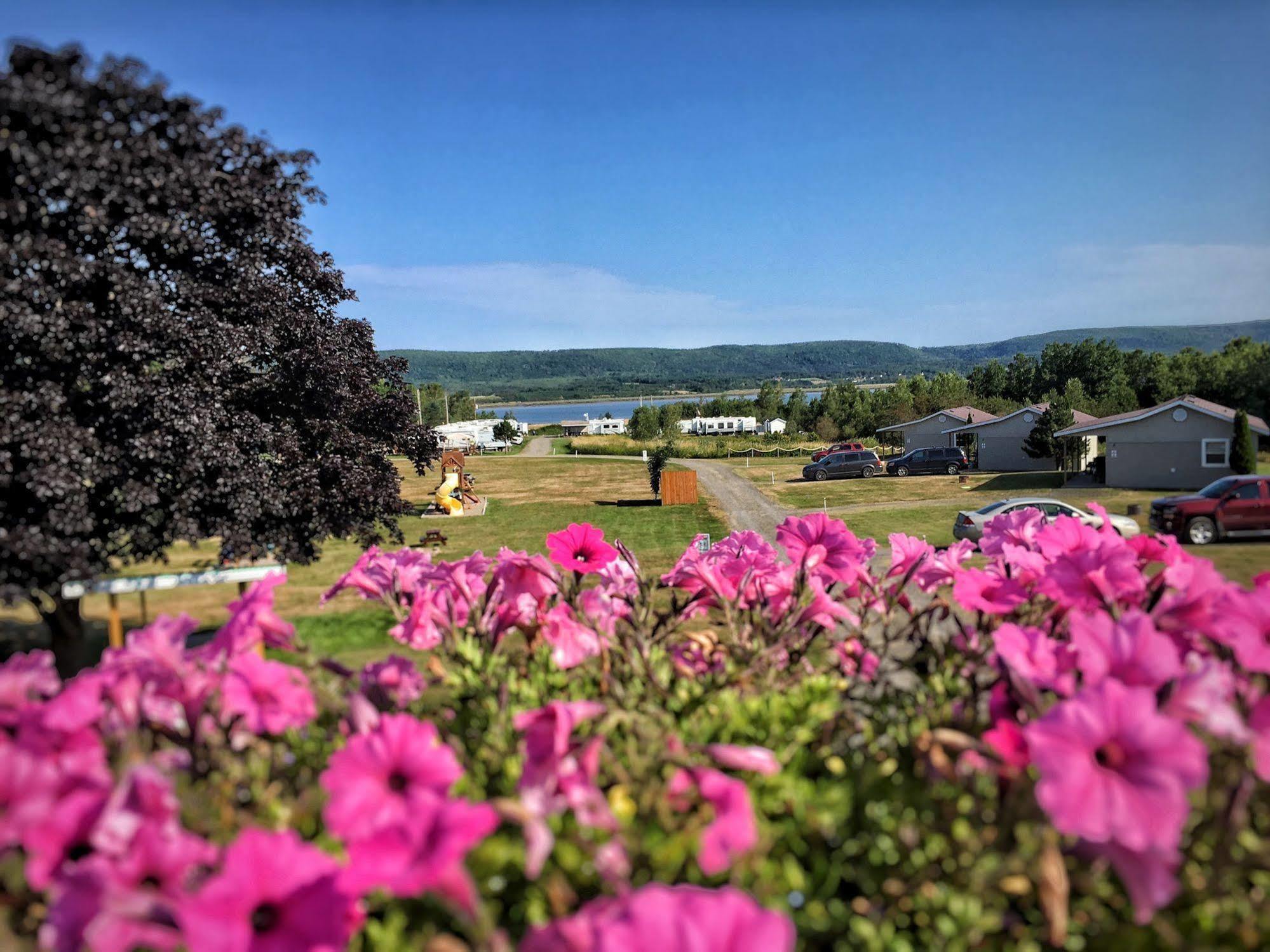 Upper Clements Cottages & Rv Park アナポリス・ロイヤル エクステリア 写真