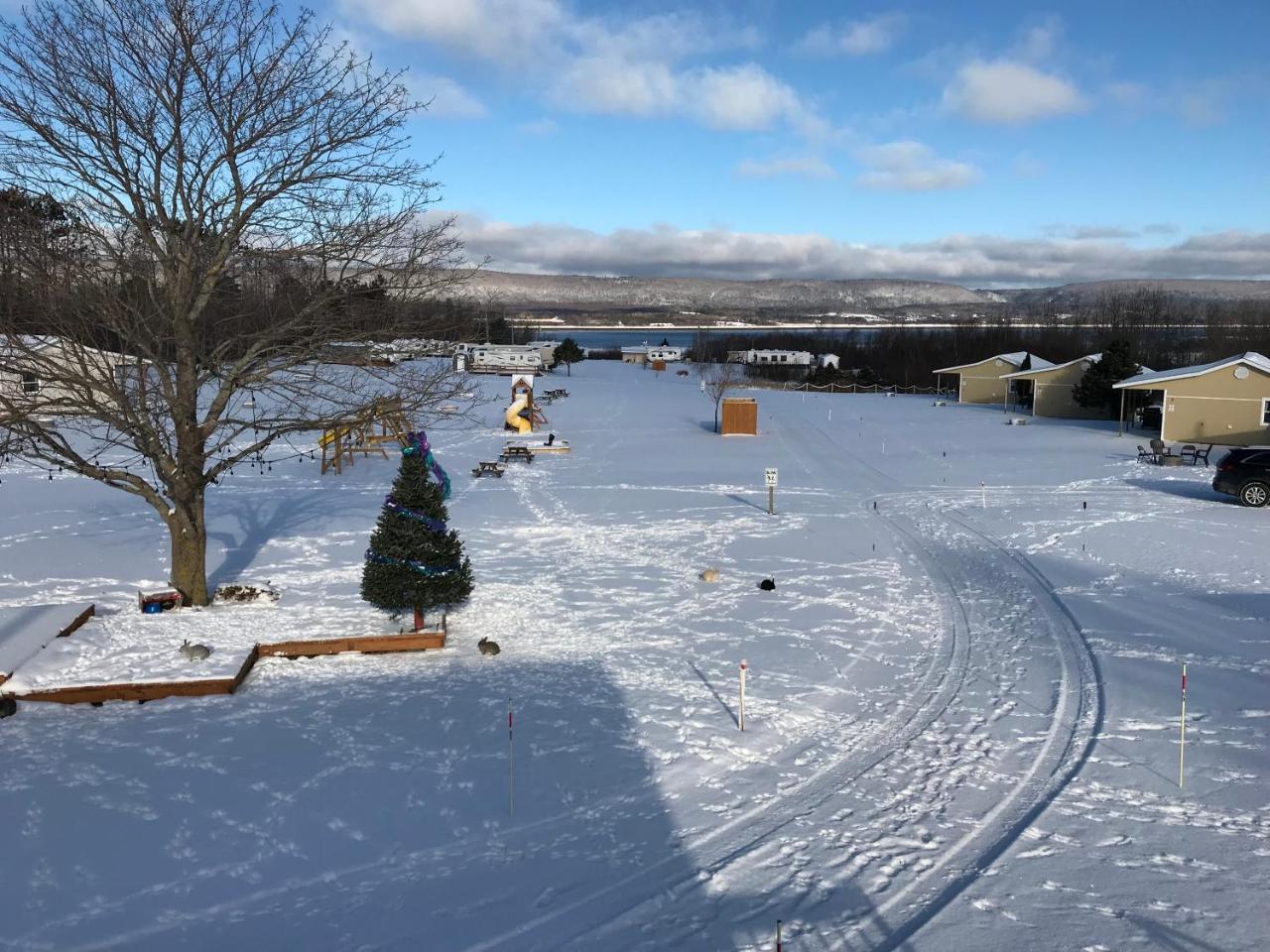 Upper Clements Cottages & Rv Park アナポリス・ロイヤル エクステリア 写真